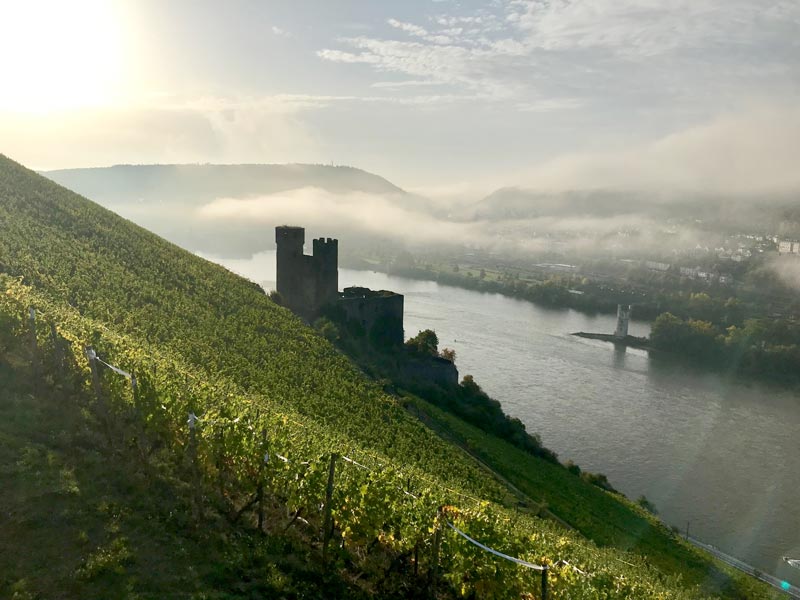 Ausblick über den Rhein und die Weinberge Rüdesheims