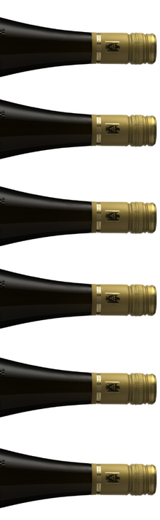 Produktfoto: Weinprobe 11.10.2025 13:00 Uhr