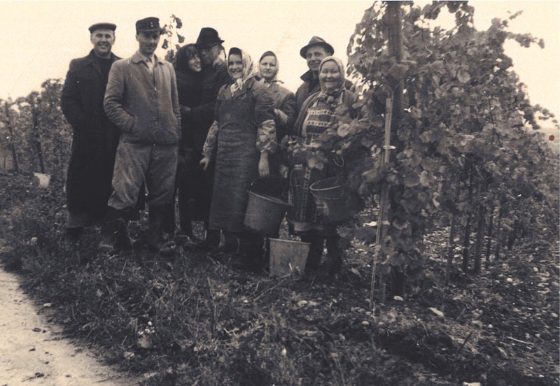 Gründung des Weingutes in Hochheim