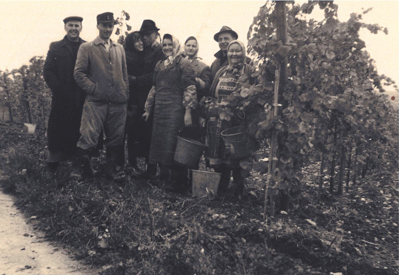 Foundation of the winery in Hochheim