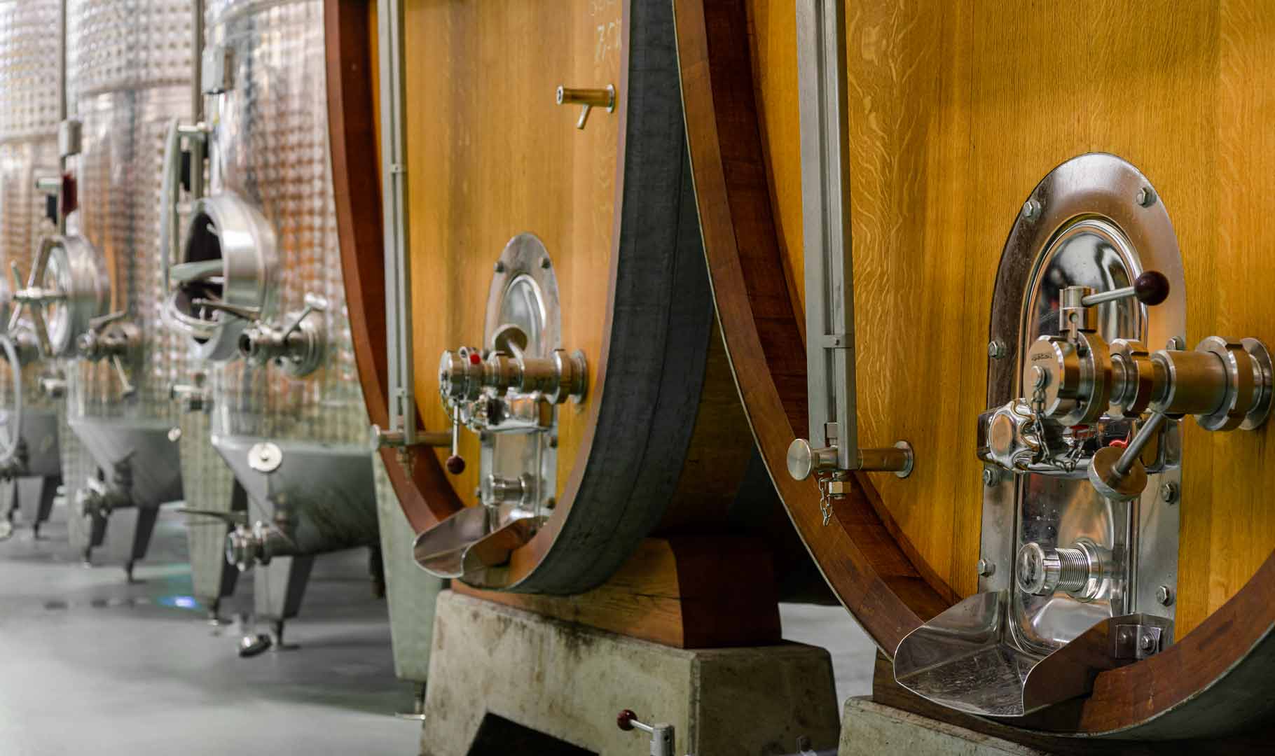 Wine tanks in the cellar