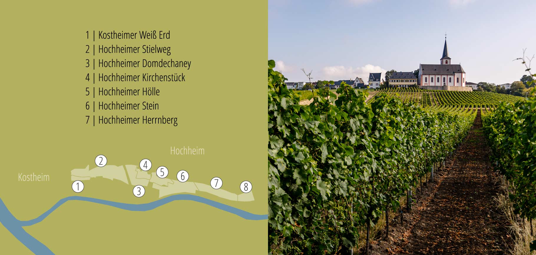 Illustration and photo of the vineyard sites in Hochheim and Kostheim