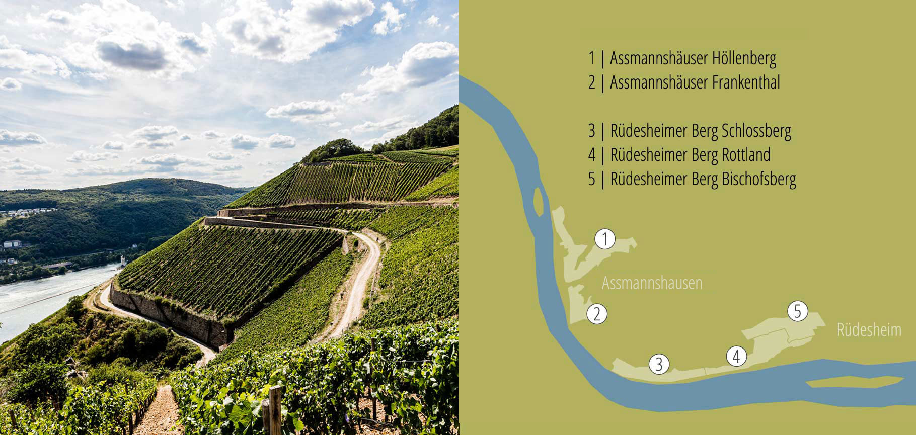Illustration and photo of the vineyard sites in Rüdesheim and Assmannshausen